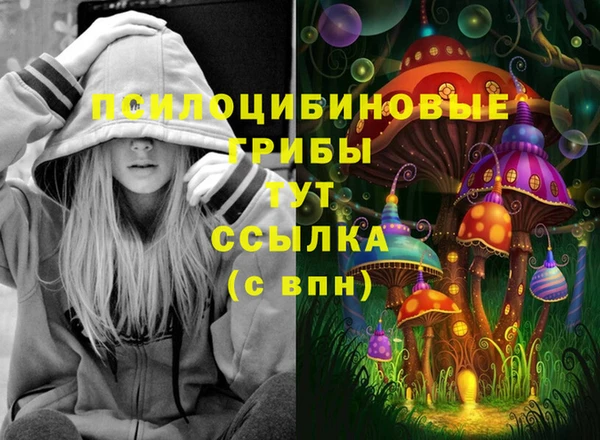 первитин Горнозаводск